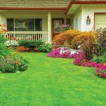 10 Reasons Why Sod is the Best Choice for Your Landscaping Needs